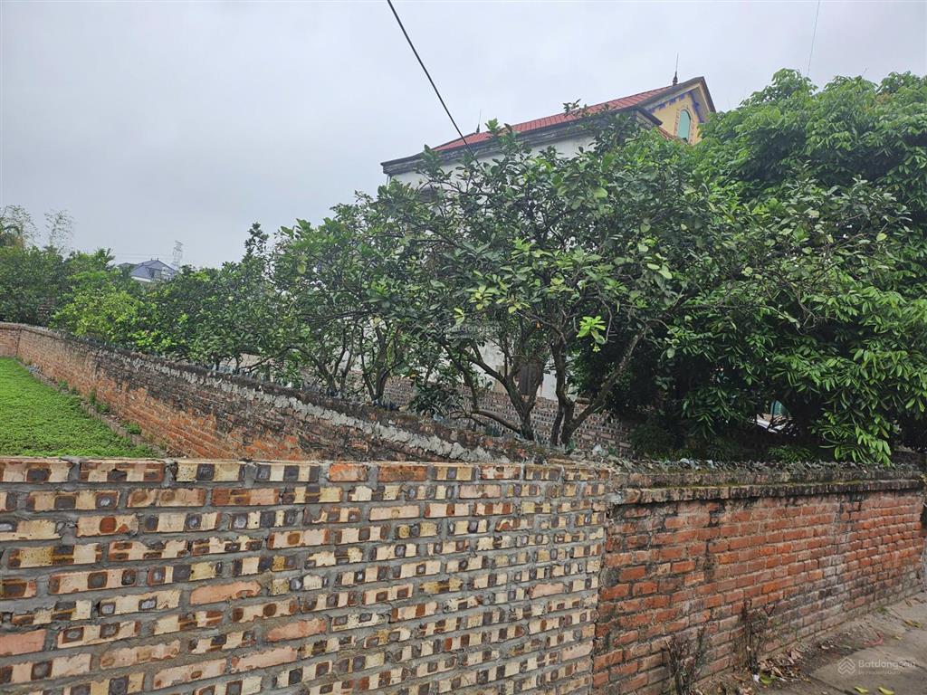 Bán đất 5m mt, đường bê tông 7m ở xã đông tảo, sát chợ, gần chân cầu ngọc hồi, 15' tới vin