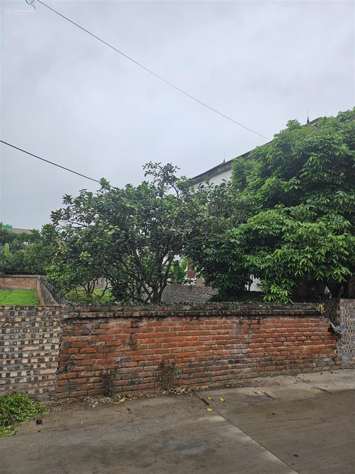 Bán đất 5m mt, đường bê tông 7m ở xã đông tảo, sát chợ, gần chân cầu ngọc hồi, 15' tới vin
