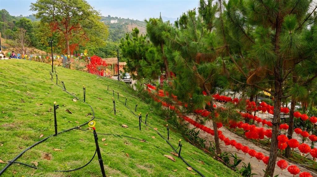 Chính cần bán 1,986tr/m2 đất nhà vườn suối tự nhiên, có cây ăn trái, cộng đồng văn minh, an ninh