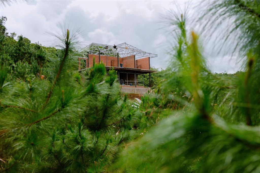 Lô đất 1000m2, view đỉnh nóc kịch trần, đường ô tô tận nơi, view thông, có tiện ích nhà hàng, cafe
