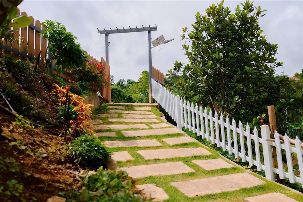 Lô đất 1000m2, view đỉnh nóc kịch trần, đường ô tô tận nơi, view thông, có tiện ích nhà hàng, cafe