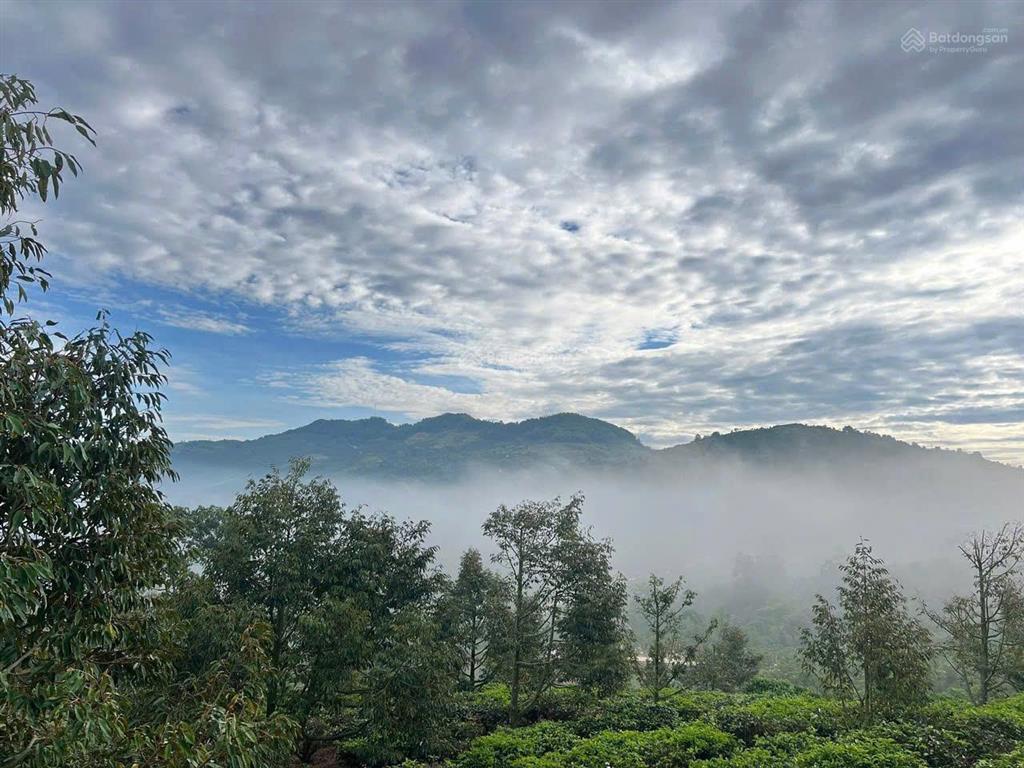 Lô đất 1000m2, view đỉnh nóc kịch trần, đường ô tô tận nơi, view thông, có tiện ích nhà hàng, cafe