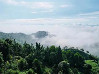 Lô đất 1000m2, view đỉnh nóc kịch trần, đường ô tô tận nơi, view thông, có tiện ích nhà hàng, cafe