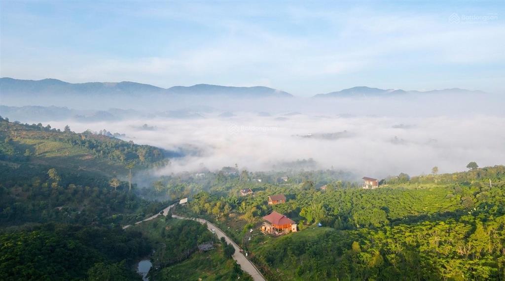 Tâm điểm kết nối 1000m2 đỉnh đồi aman cloud, vài bước chân tiếp cận mọi tiện ích