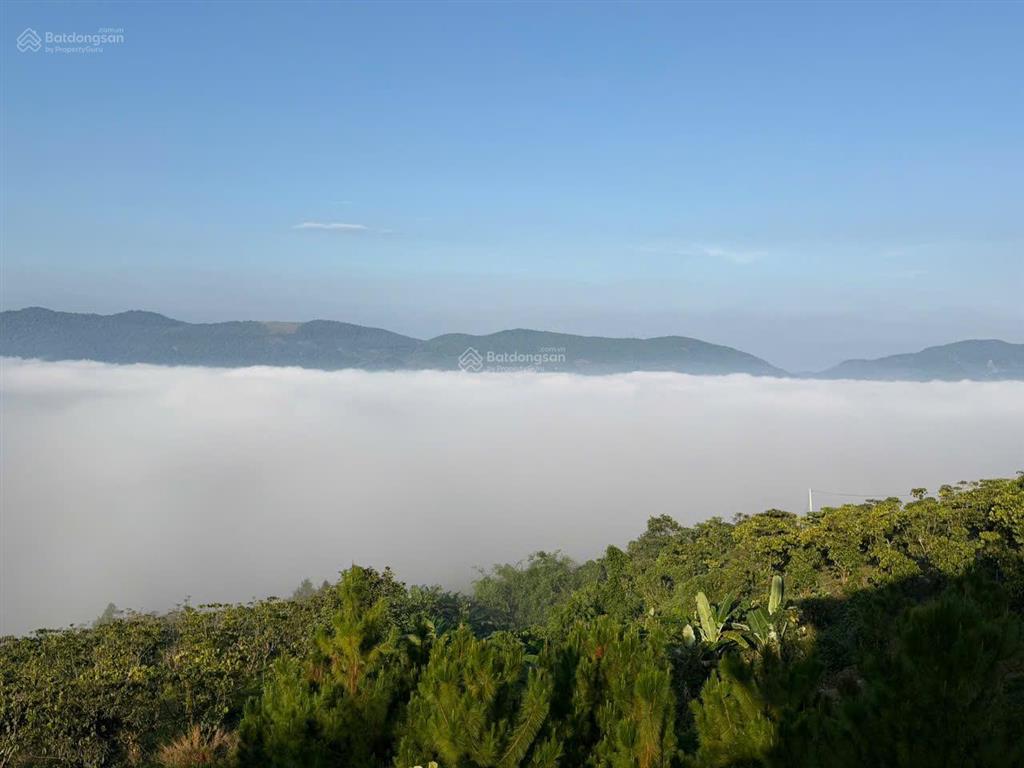 Tâm điểm kết nối 1000m2 đỉnh đồi aman cloud, vài bước chân tiếp cận mọi tiện ích