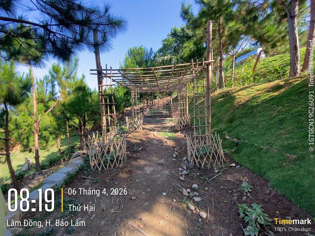 Phường 3  bảo lộc bán lô đất diện tích 1068m2, sổ sẵn, đất đẹp, hạ tầng bài bản. sang sổ 2,3 tỷ