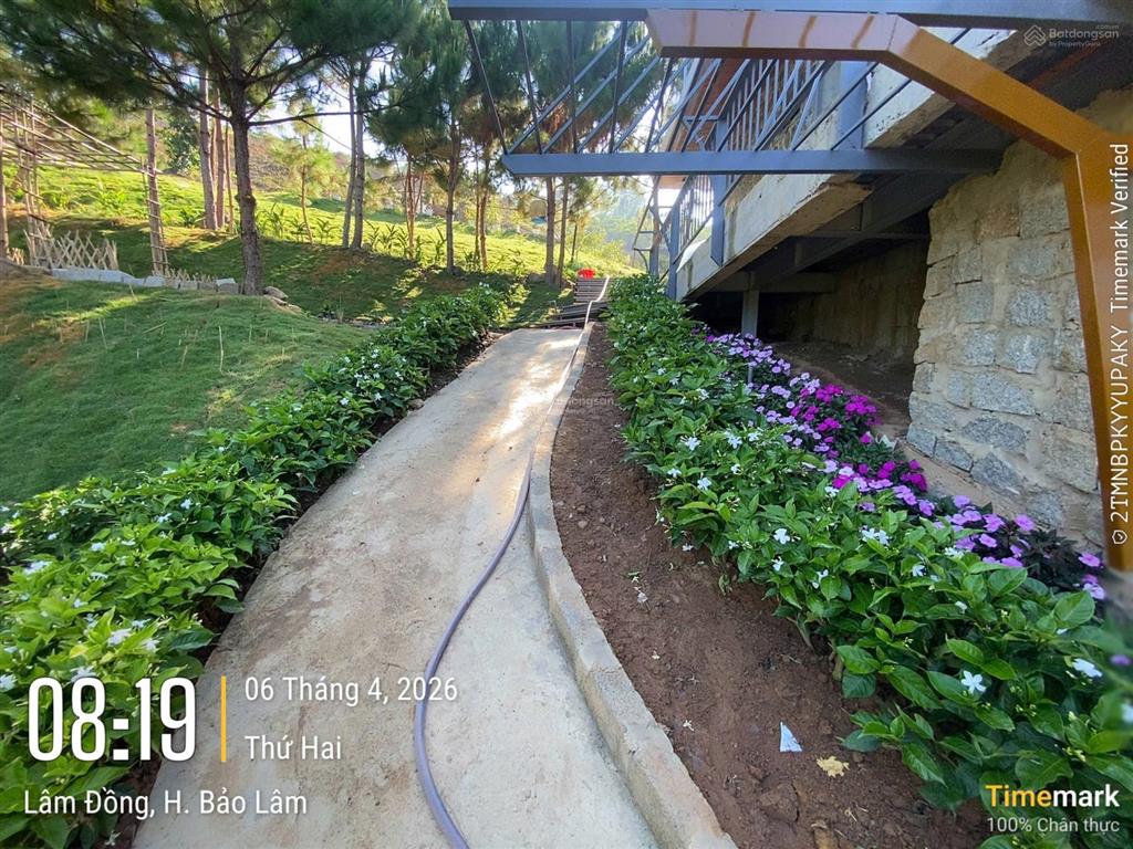 Phường 3  bảo lộc bán lô đất diện tích 1068m2, sổ sẵn, đất đẹp, hạ tầng bài bản. sang sổ 2,3 tỷ