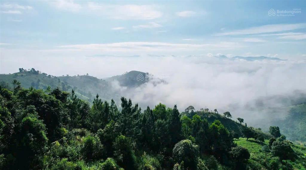 Đất nền nghỉ dưỡng 1044m2, trong khu an ninh, tiện ích đầy đủ, 18x58m, sổ sẵn, có suối, 2 tỷ
