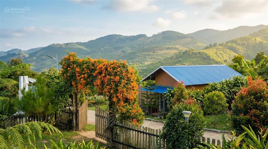 Đất bảo lâm 1.368m2, suối tự nhiên bao quanh  đường 8mthích hợp làm nhà vườn  đầu tư 0903 747 ***
