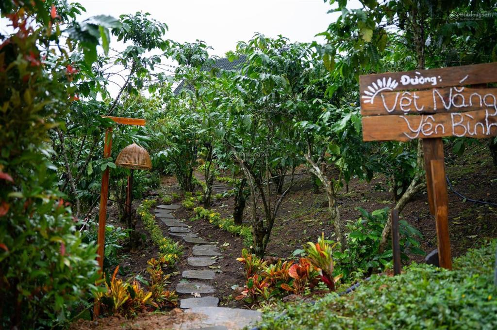 Đất bảo lâm 1.368m2, suối tự nhiên bao quanh  đường 8mthích hợp làm nhà vườn  đầu tư 0903 747 ***