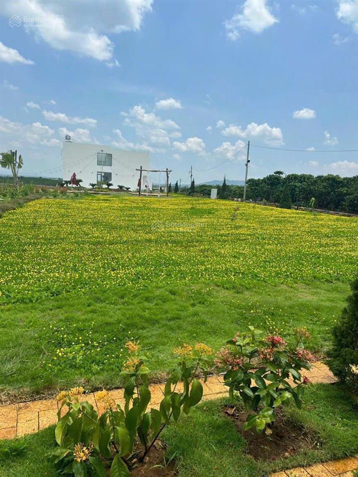 Đất bảo lộc, gần cao tốc bảo lộc cần bán gấp lô 500m2, sổ sẵn, giao thông thuận tiện 0903 747 ***