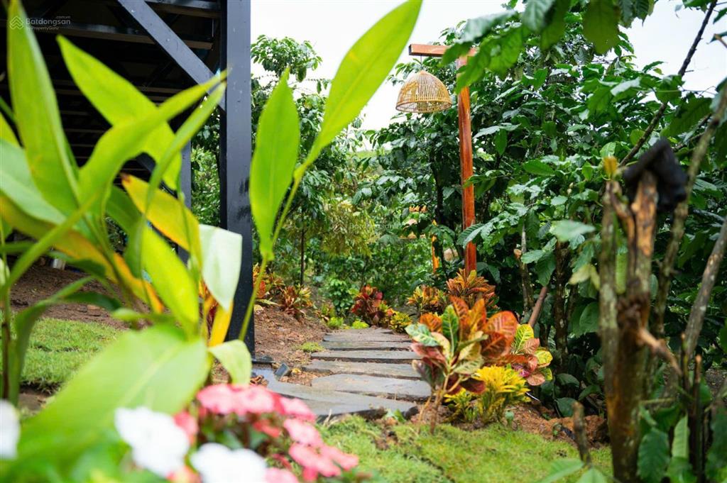 Chính chủ cần bán lô đất 1068m2, sẵn sân vườn, suối trong vườn nha, cách ql20 6.9km, view cực đẹp