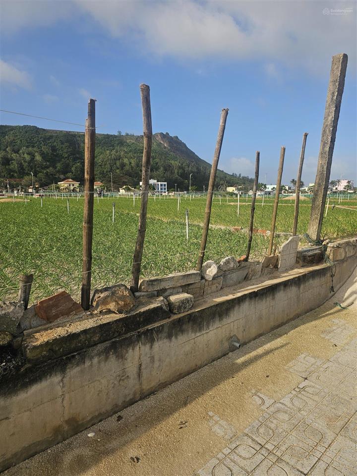 Đất view biển đặc khu lý sơn, quảng ngãi