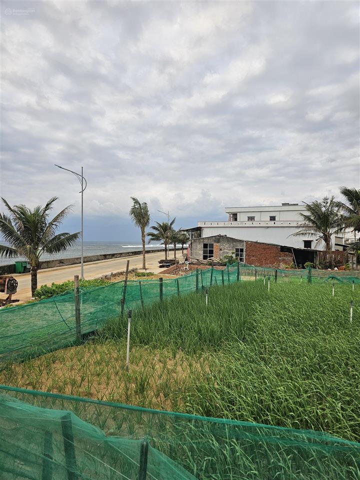 Đất view biển, trung tâm đặc khu lý sơn