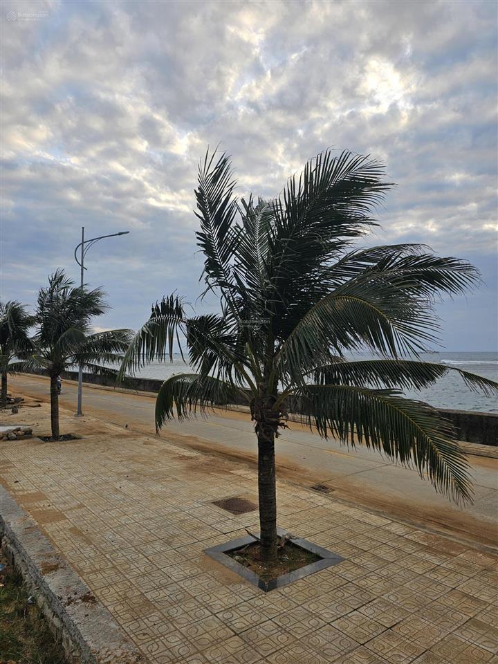 Đất view biển, trung tâm đặc khu lý sơn