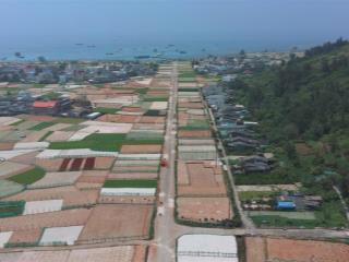 Bán nhà riêng an hải, lý sơn, quảng ngãi, giá tốt 256m2 full thổ cư