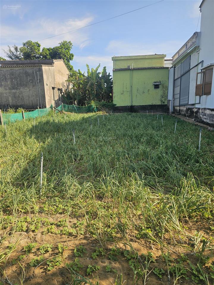 Đất full thổ cư lý sơn vài phút ra biển siêu rẻ