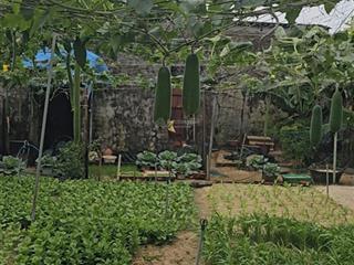 Đất thổ cư trung tâm đặc khu lý sơn quá rẻ chỉ 2 phút ra biển