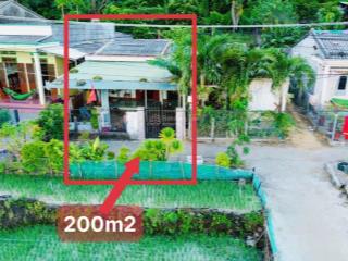 Đất lý sơn vị trí siêu hot gần sun quy hoạch khu dân cư hiện hữu, gần hang câu!