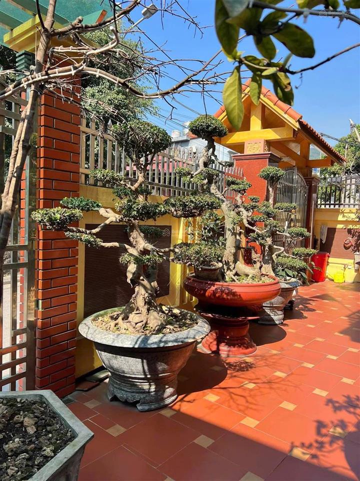 Căn nhà đặc biệt dành cho người thích không gian rộng 268m2 đất, có sẵn 2 căn nhà