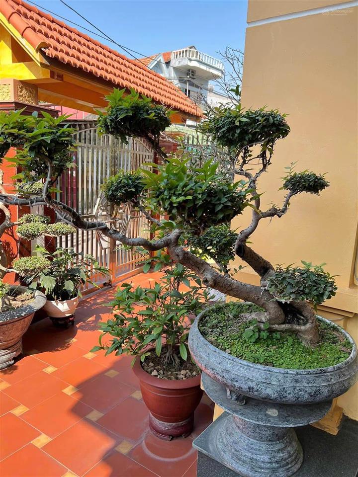 Căn nhà đặc biệt dành cho người thích không gian rộng 268m2 đất, có sẵn 2 căn nhà