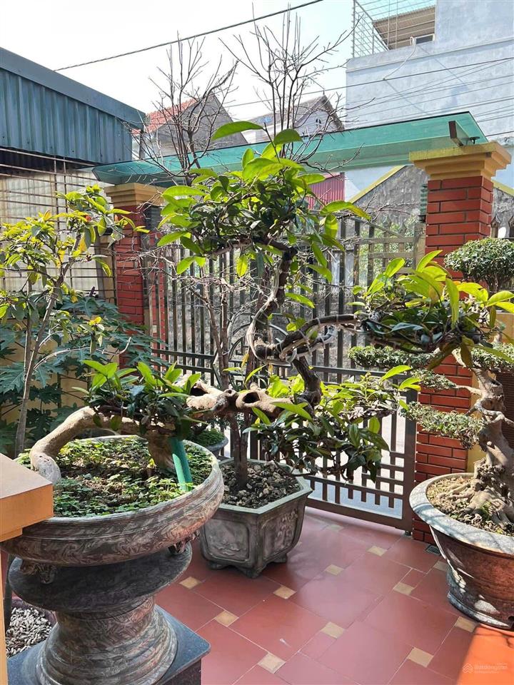 Căn nhà đặc biệt dành cho người thích không gian rộng 268m2 đất, có sẵn 2 căn nhà