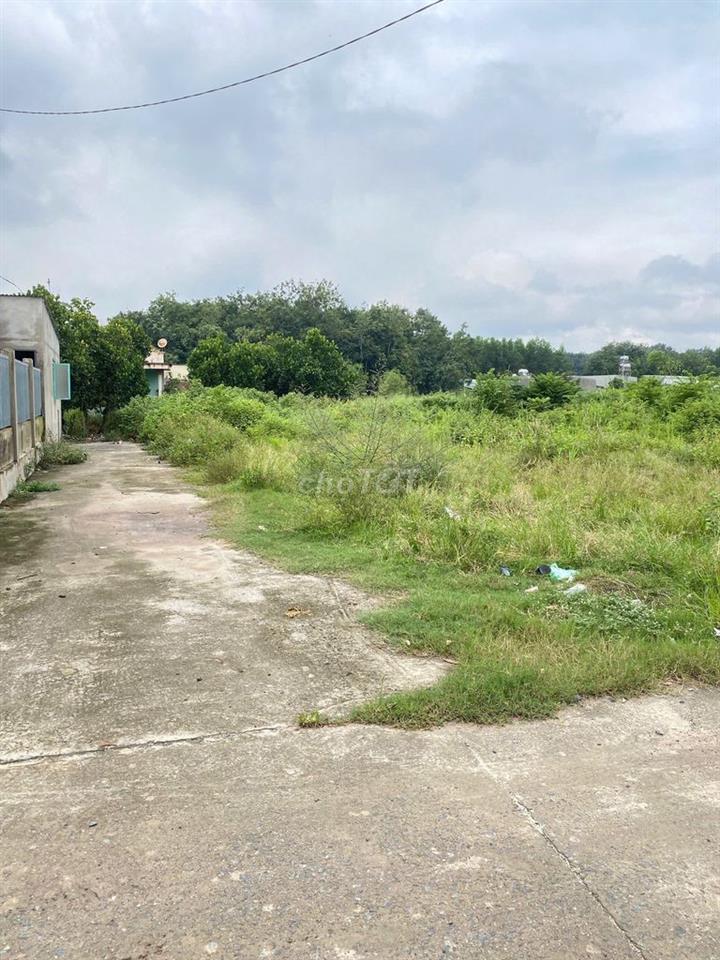 385tr sở hữu lô xây trọ đất cách ql13 đúng 800m sát KCN Minh Hưng