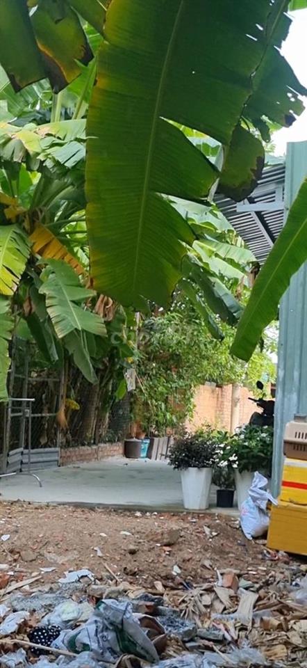CHÍNH CHỦ CẦN TIỀN BÁN GẤP LÔ ĐẤT ĐƯỜNG TX 22 HẺM XE HƠI