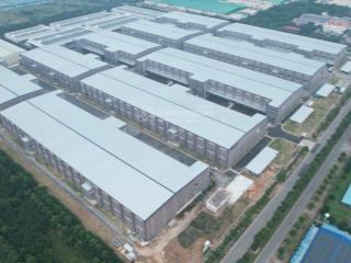 Bán đất kcn bàu bàng  bình dương. chuyển nhượng 5.2ha đất trả tiền một lần giá rẻ kcn bàu bàng