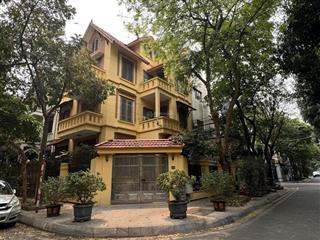 Biệt thự mỹ đình 1 lô góc 2 mặt tiền 165m2, 5 tầng kinh doanh cafe hoặc ở dãy đẹp chỉ hơn 63 tỷ