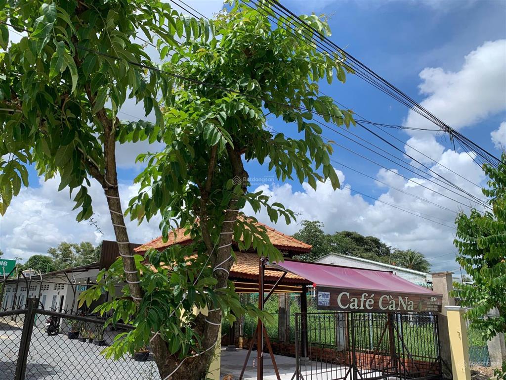 Chuyền nhượng 985m2 đất gồm 317 thổ cư, 668 đất cây lâu năm, tại phường long hoa, tây ninh, 4.5 tỷ