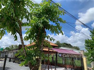 Chuyền nhượng 985m2 đất gồm 317 thổ cư, 668 đất cây lâu năm, tại phường long hoa, tây ninh, 4.5 tỷ