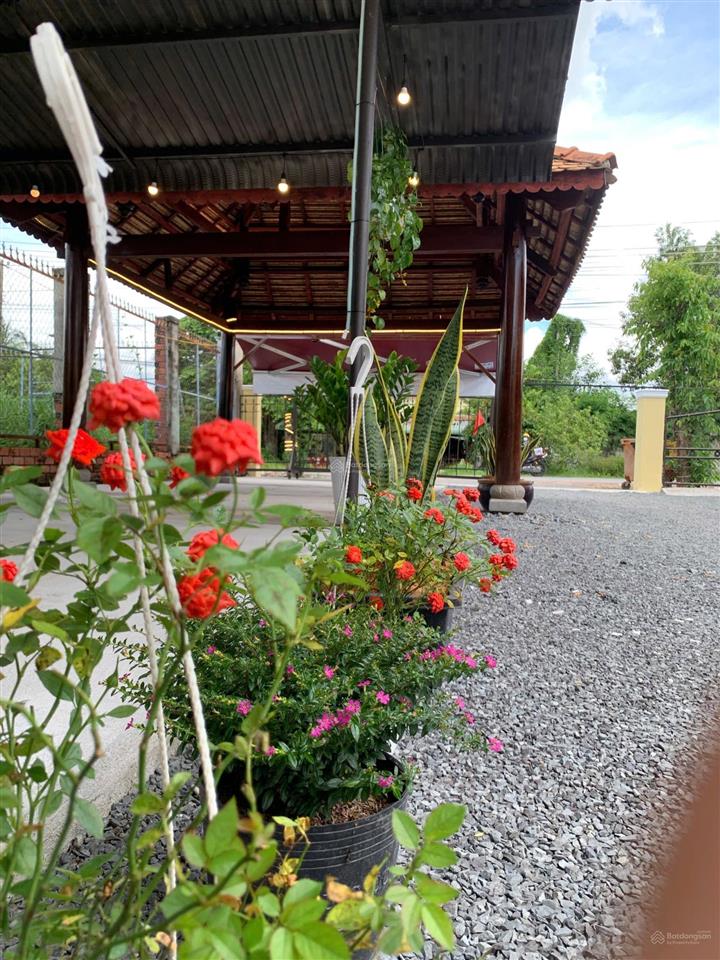 Chuyền nhượng 985m2 đất gồm 317 thổ cư, 668 đất cây lâu năm, tại phường long hoa, tây ninh, 4.5 tỷ