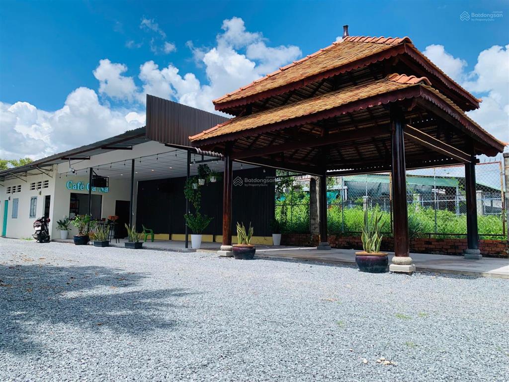 Chuyền nhượng 985m2 đất gồm 317 thổ cư, 668 đất cây lâu năm, tại phường long hoa, tây ninh, 4.5 tỷ