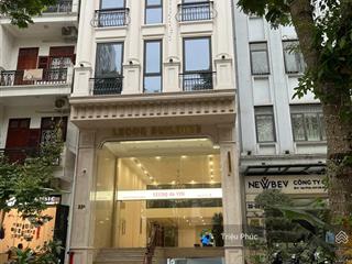 Cực hiếm  mặt phố vạn phúc ba đình  100m2  xây mới 9 tầng  chủ nợ ngân hàng  giá chỉ 52 tỷ