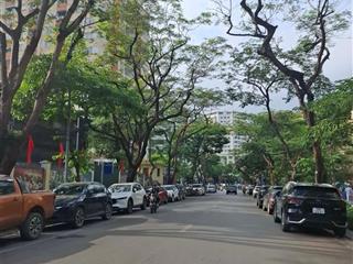 Chính chủ bán gấp chung cư trần quý kiên cầu giấy 65m 3 ngủ 6 tỷ