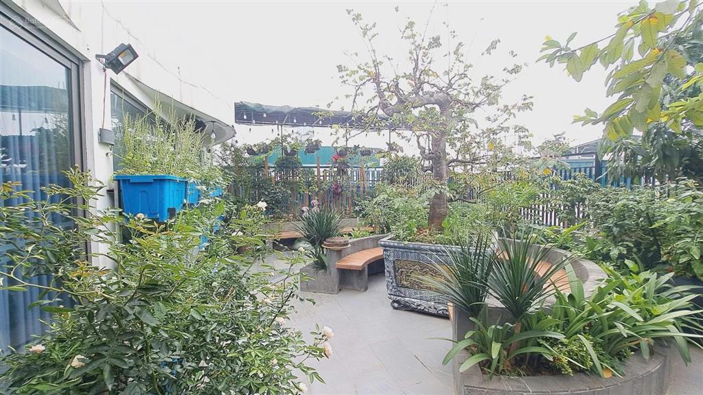 Bán gấp biệt thự 220m2 tại nguyễn xiển, hạ đình, q. thanh xuân, 61 tỷ vnd