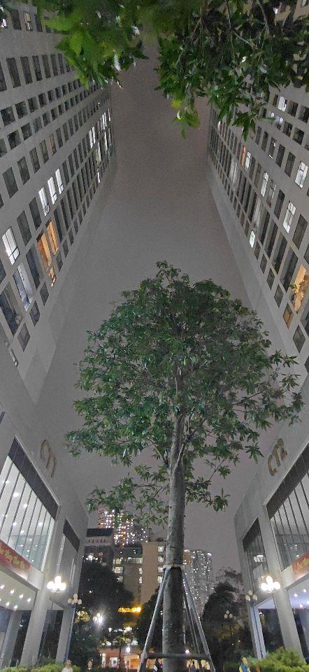 Căn hộ 123m rộng nhất X2 Đại Kim, 4PN giá chỉ 65tr/m2