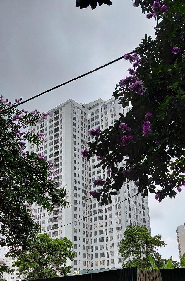 Duy nhất căn góc107m² trục 03 tòa Ct3 X2 Đại Kim giá chỉ 69tr
