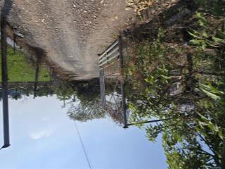 Lô đất ngang 7m gần đường huỳnh thị dần giá 2 tỷ