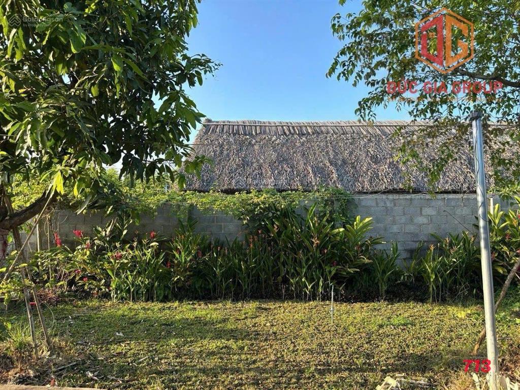 Đất thổ cư view sông đồng nai  p. tân triều, tp đồng nai 4,1 triệu/m2 có bán 1000 3000 1 héc
