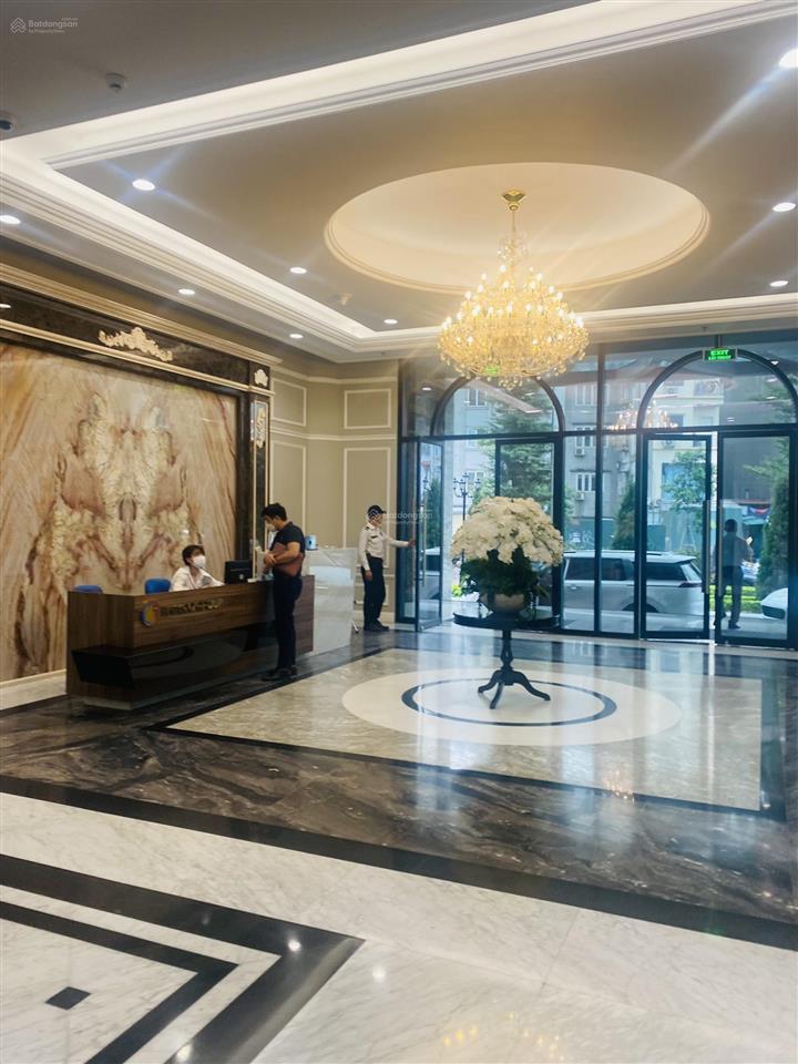 Chính chủ cần bán căn 2pn+1 hateco laroma 4a huỳnh thúc kháng