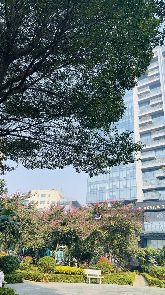 Chính chủ cần bán căn 2pn  2vs hoàng cầu skyline full nội thất cao cấp
