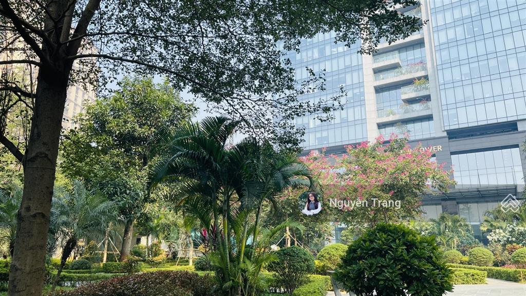 Chính chủ cần bán căn 2pn  2vs hoàng cầu skyline full nội thất cao cấp