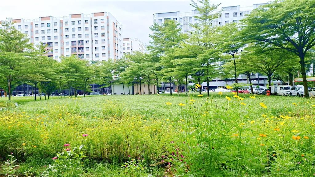 Bán shophouse ehome 3 tầng trệt vừa ở vừa kinh doanh