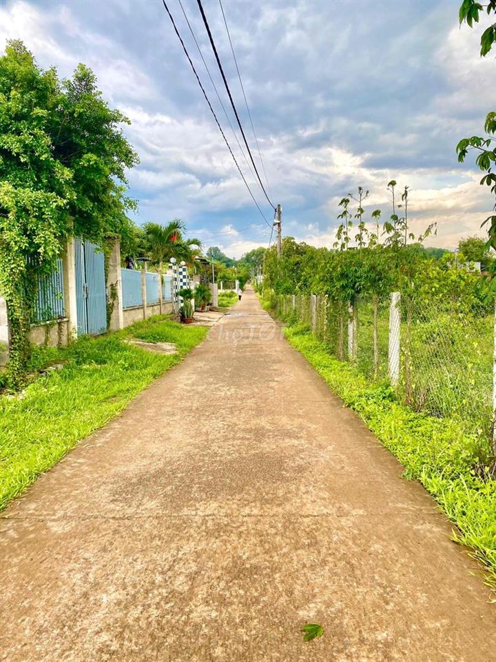bán đất duong qua sân bay long thanh