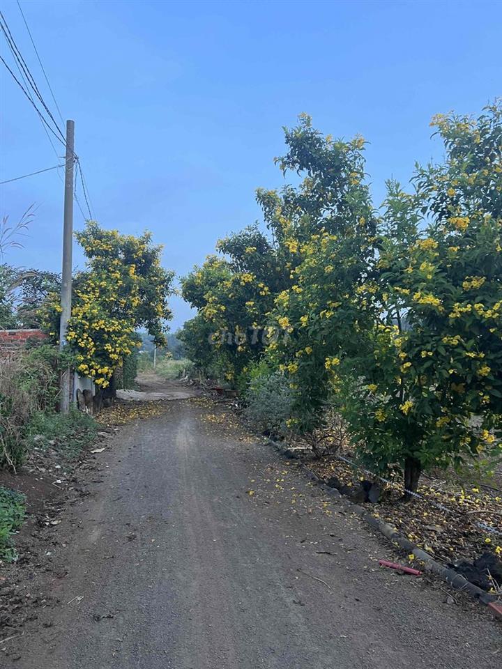 bán đất duong qua sân bay long thanh