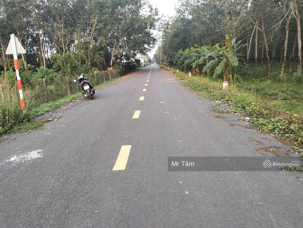 Bán đất mặt tiền đường 492, mặt tiền 24m, tổng 690m2 có 300m2 thổ, xã nhuận đức (mới)