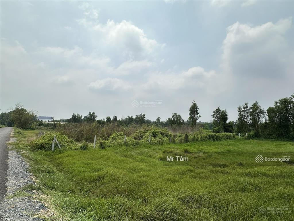 Đất củ chi! bán lô đất mt đường nhựa 812, dt 440,7m2, có 150m2 thổ, xã an phú (cũ)