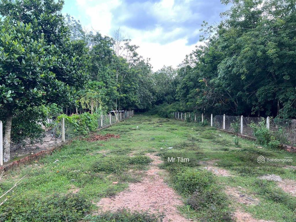 Lô đất mt võ thị bàng 2 xe cont tránh nhau, diện tích 1009,4m2, có 97,5m2 thổ cư, xã phú mỹ hưng